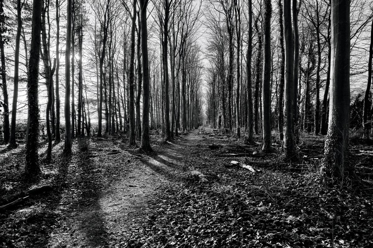 Hugh Warwick tweet media