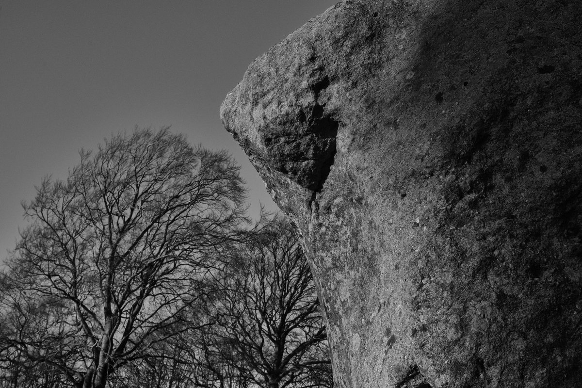 Hugh Warwick tweet media