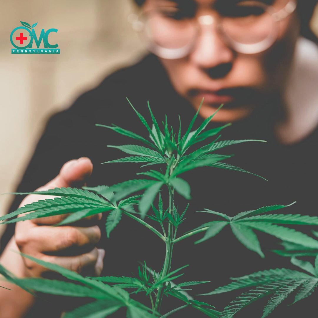 omcpennsylvania's tweet photo. Do Different Marijuana Consumption Methods Affect its Bioavailability? We have the ideal solution for you. Click on the link in the bio!

#onlinemedicalcard #cannabiscommunity #cannabisadvocate #cannabiseducation #alternativehealth https://t.co/hUZ8cRzUYY