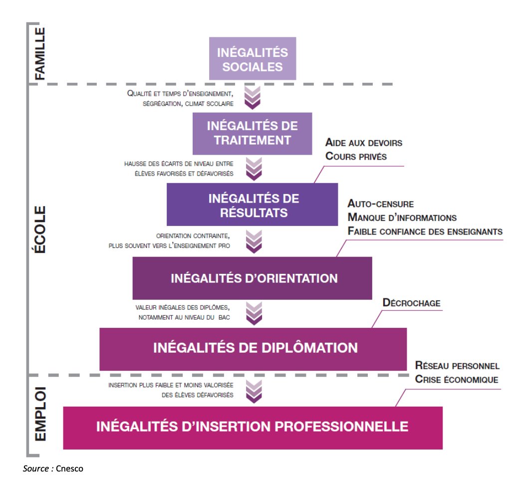 Ecolhuma tweet media