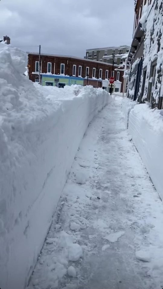 Downtown Picton this morning. 📷 from a friend there.