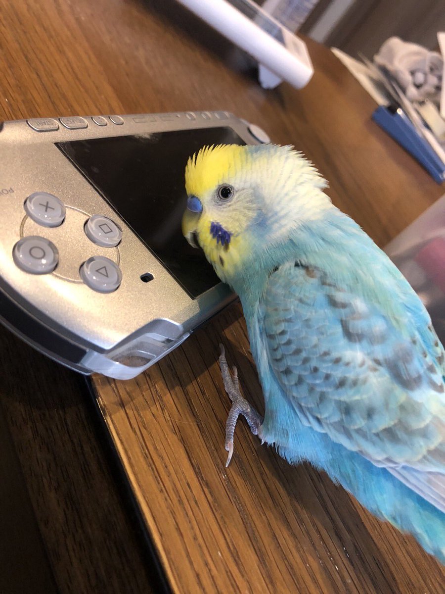 ふうの「どうされました？」シリーズ🤣