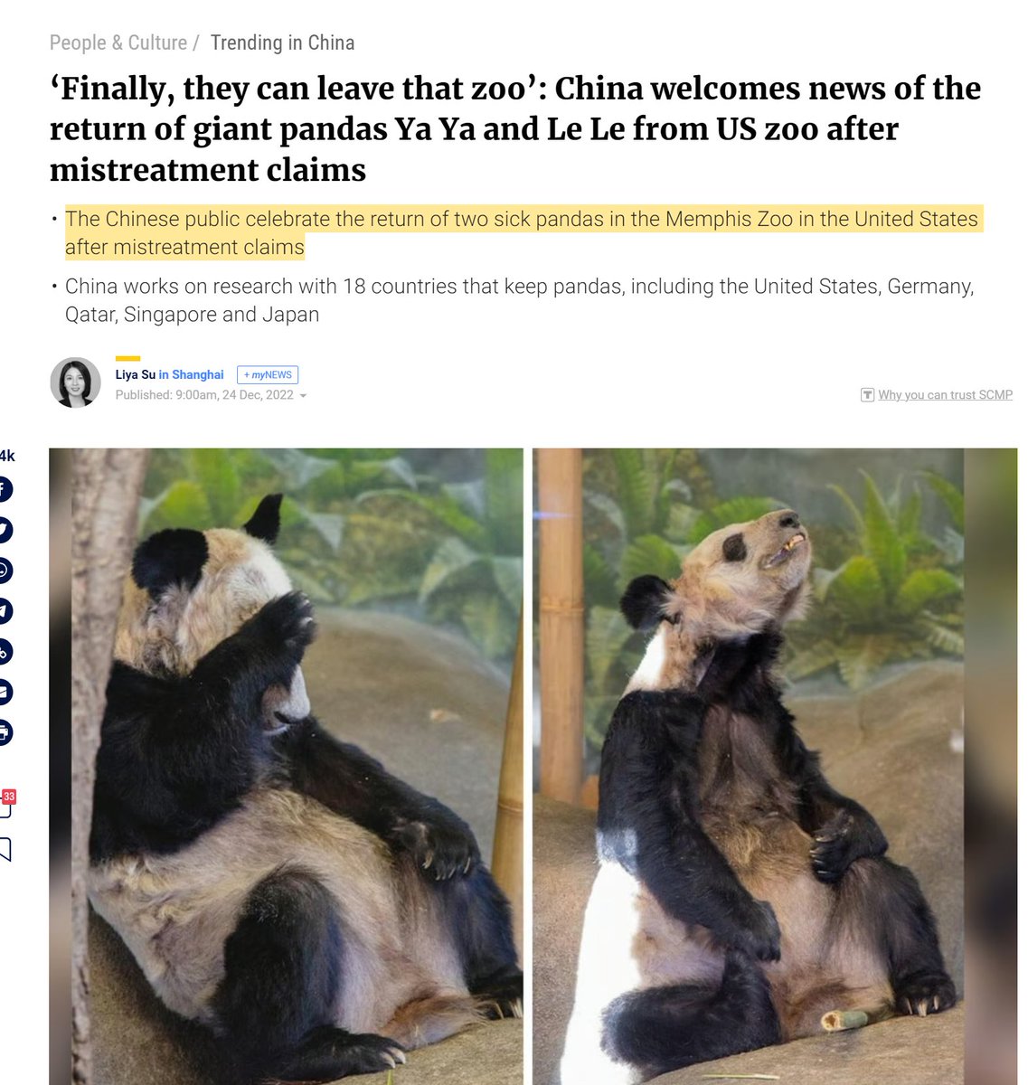 Raam Beart 🥭 on X: "(1) Giant pandas Ya Ya & Le Le can finally come home  to China following recent allegations of mistreatment of the pandas by the  Memphis Zoo by