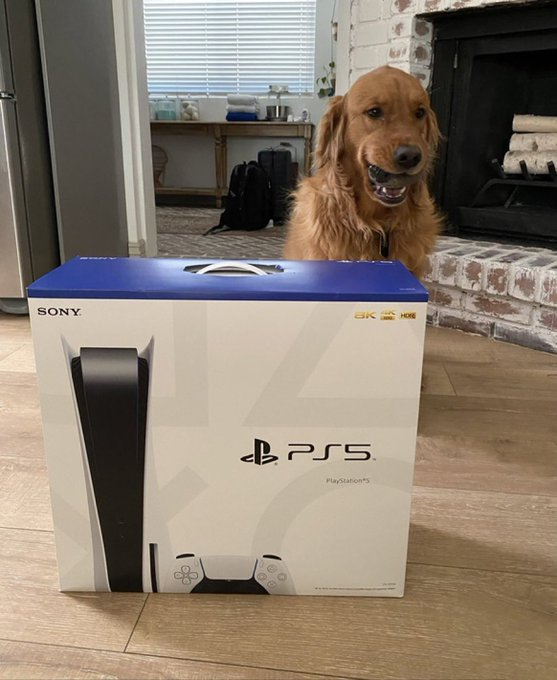 HessonHive's tweet photo. whosoever quotes this tweet and gets 0 likes 0 comment &amp; 0 rt on that post, will win this PS5 :) if u win ,just dm https://t.co/A7cpVSwwFW