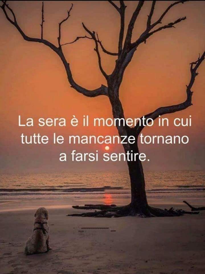 Verissimo