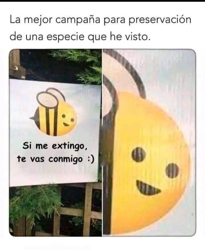 RincnCuriosoo's tweet photo. https://t.co/zbG8YZwoDU