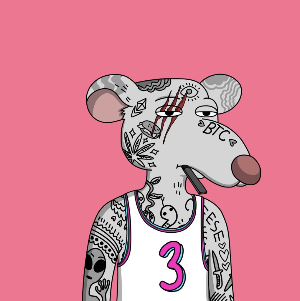 New rat 👀 #keepitgutter <a href="/GutterCatGang/">Gutter Cat Gang</a>