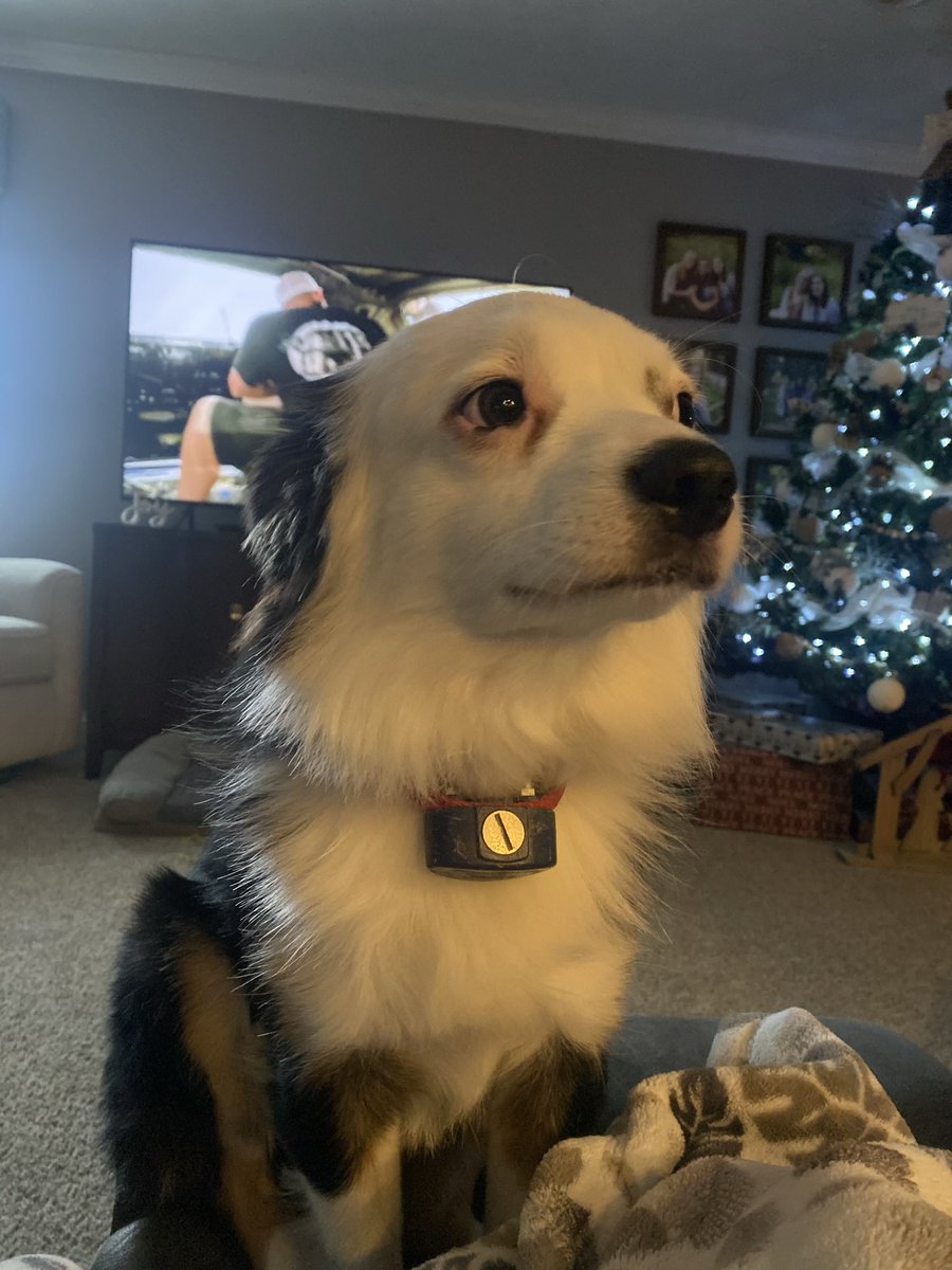 Benjamin tweet media