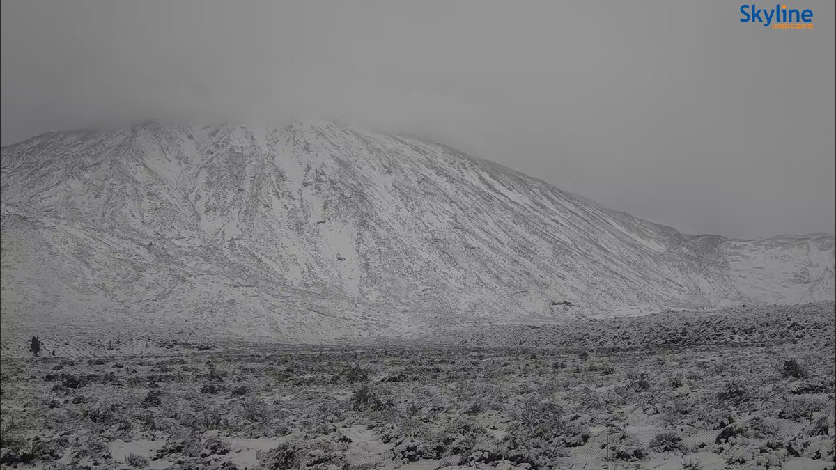 Paco Jones tweet media