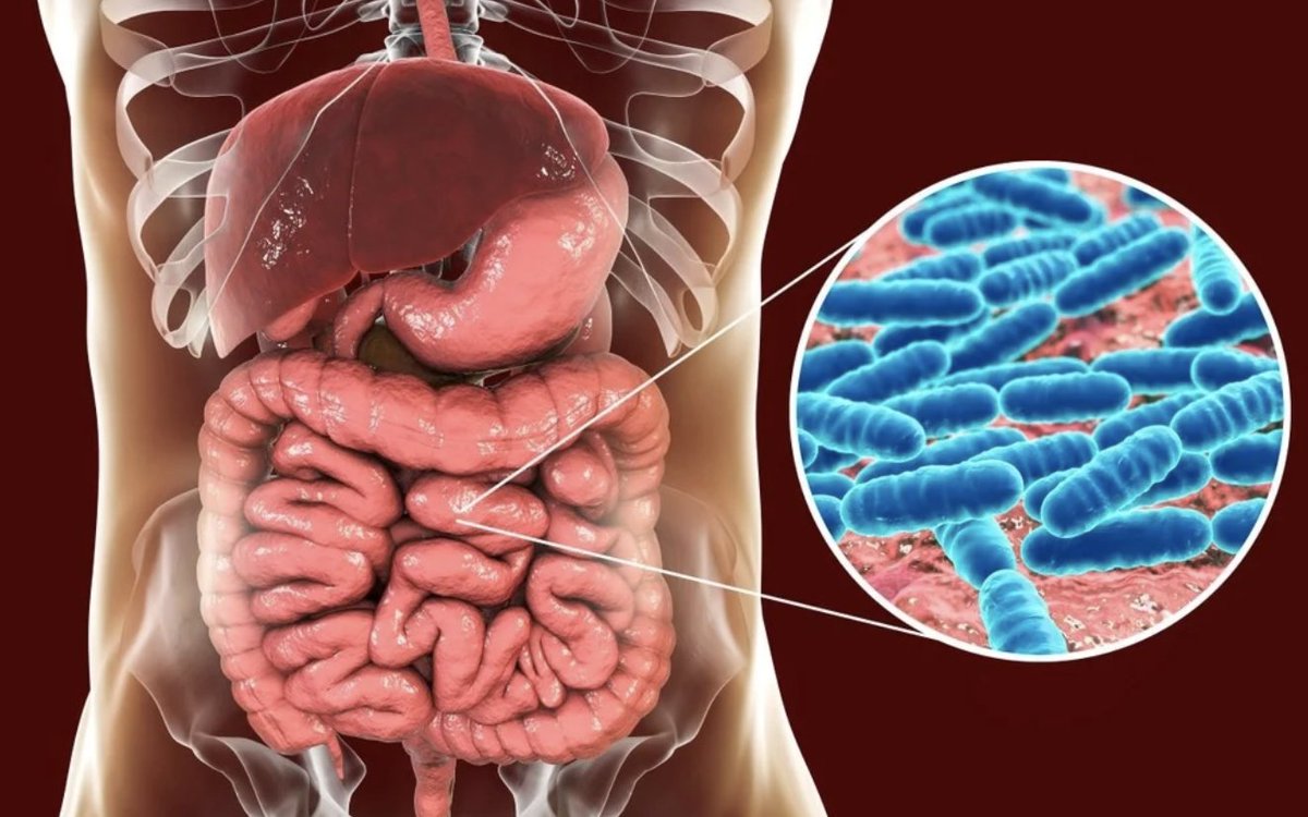 JACK BLY tweet media