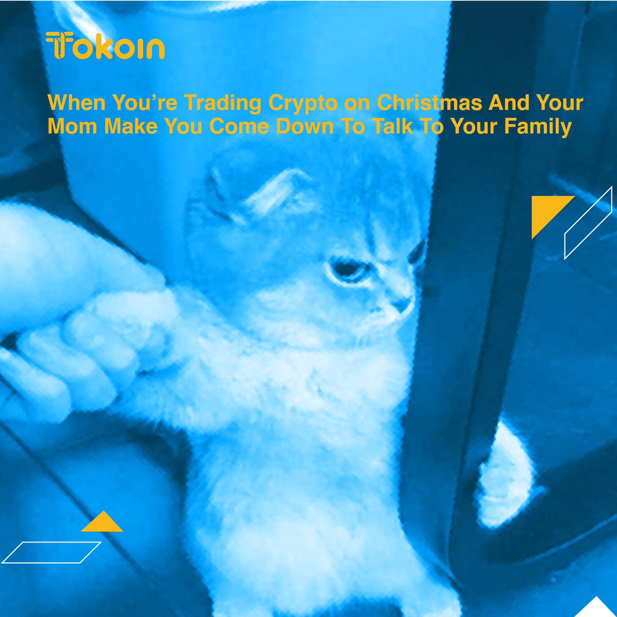 Tokoin Global tweet media