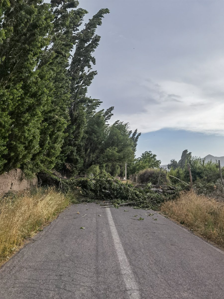 Alexis_Lillo's tweet photo. @Chilquinta600 acá en calle larga, sector Valle Alegre, en Tomás de las Piedras con Calle Roja estamos sin luz desde 17 hrs, por caída de árbol sobre alumbrado público. Se pudo despejar vía, pero no mucho moviento de uds. https://t.co/rZKK0rBm45