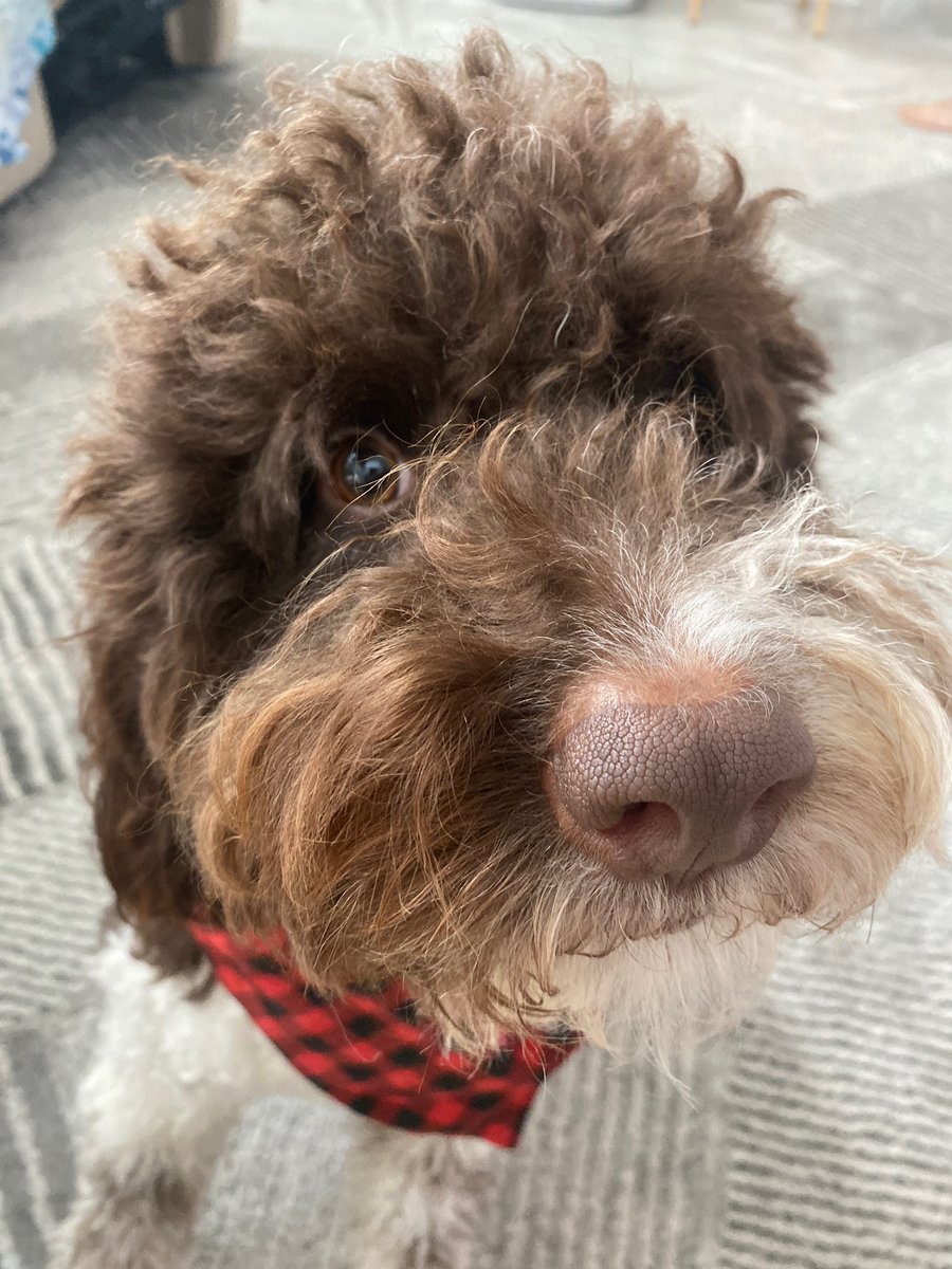 Ms. Nelson tweet media