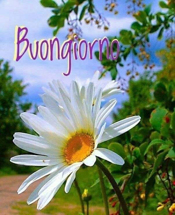 bezzone claudio (@bezzoneclaudio) on Twitter photo 