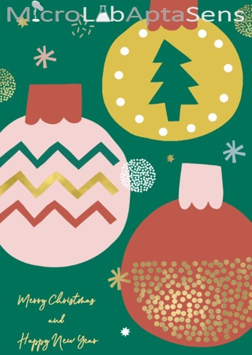 MicLabAptaSens's tweet photo. MicroLabAptaSens tim vam želi srećne novogodišnje i božićne praznike!
The MicroLabAptaSens team wishes you a Merry Christmas and a Happy New Year!
#fondzanauku #programideje #microlabaptasens #biosenseinstitute #inmes https://t.co/IMQXrugUQr
