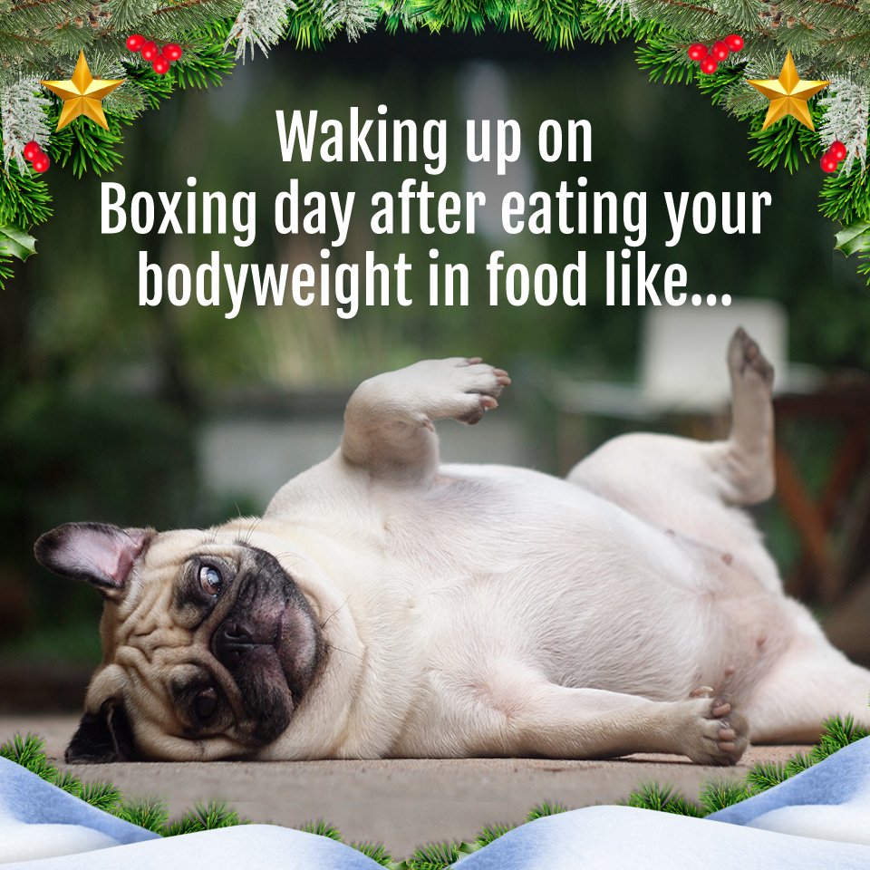 Left overs, snacks, drinking... who doesn't love boxing day!🍗

Happy boxing day people, I hope you are having a good Christmas holiday ❄️

#boxingday