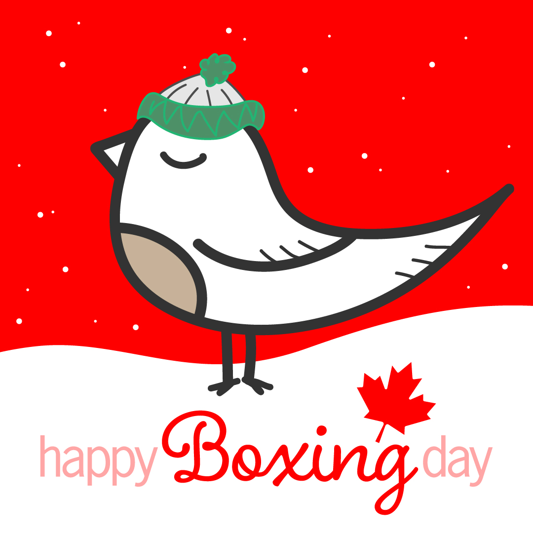 Happy Boxing Day from Wild Birds Unlimited! Did Santa bring you a new feeder? 🤞🏻🎅🏼Share the birds that are bringing you joy in your backyard? 😁🐦🐥🦉👍🏻#sharethejoy #backyardbirds