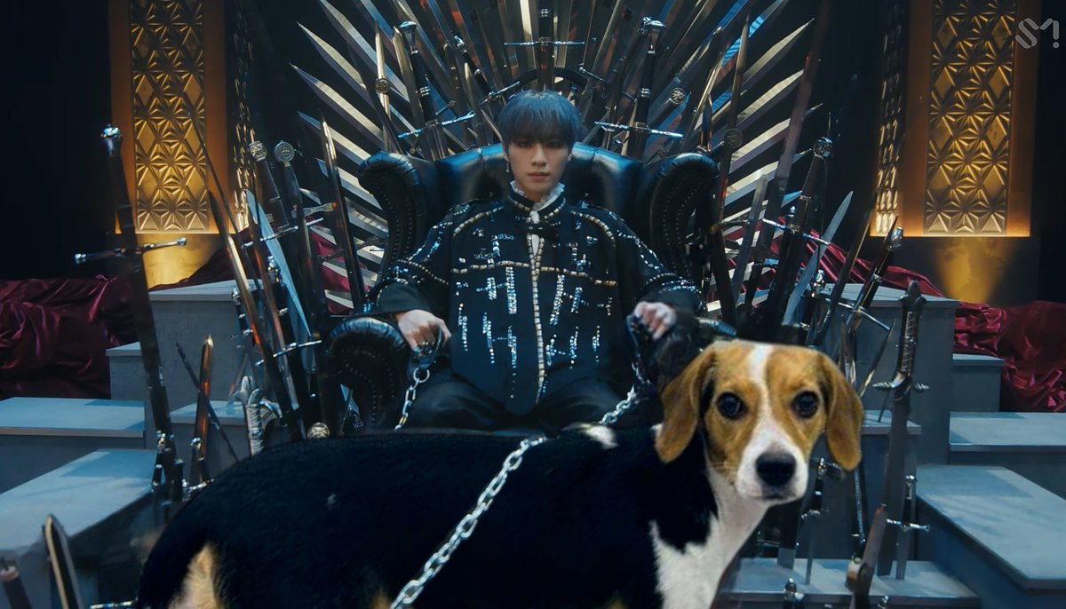 wayvpetfeed tweet picture