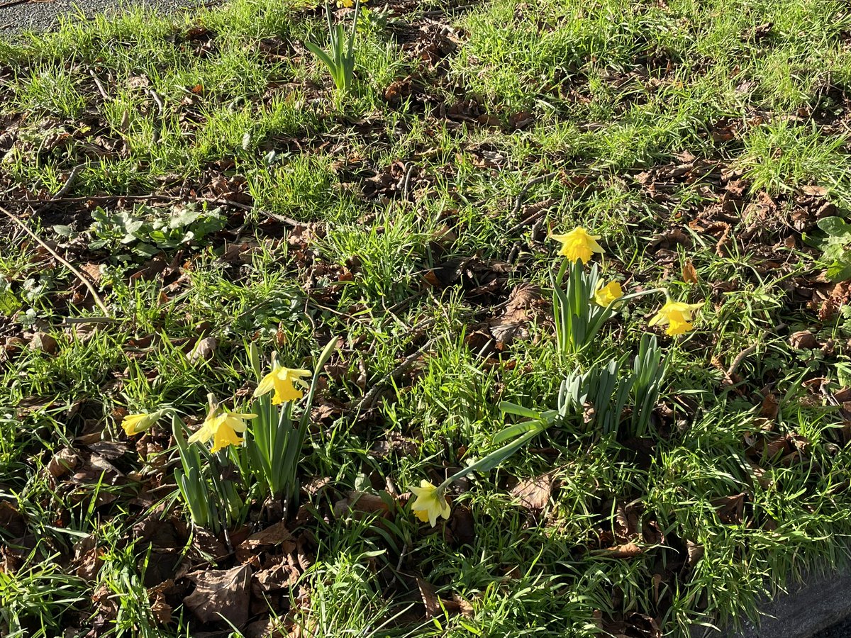 Diane Barlow tweet media