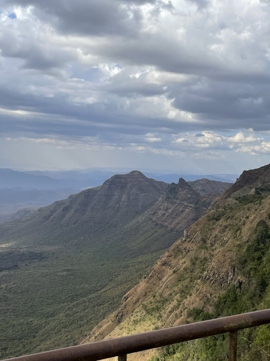 Auxillia tweet media