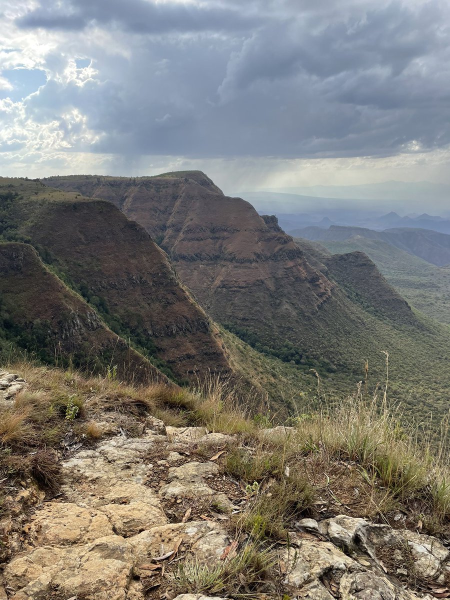 Auxillia tweet media