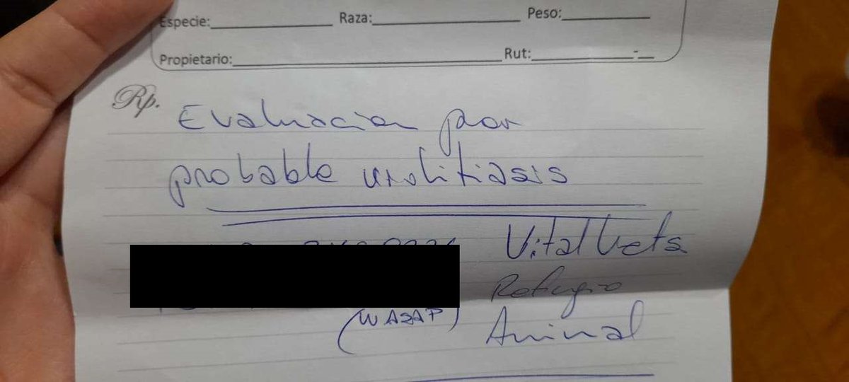 Bayita_Live's tweet photo. IMPORTANTE!!

Por favor ,leer la primera imagen donde explico la situación en la cual necesito ayuda ,cualquier aporte es agradecido y en caso de ser necesario subiré todos los costes de lo que salga en la veterinaria , compartiendo ayuda muchisimo igual❤
https://t.co/2HIDNUunSE https://t.co/NVGI8n7X83