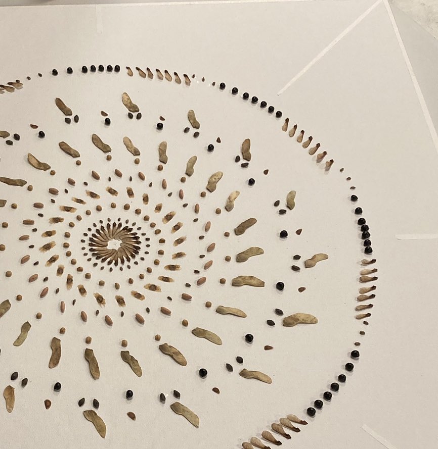 d-4
씨앗 만다라가 완성되어간다.!.!