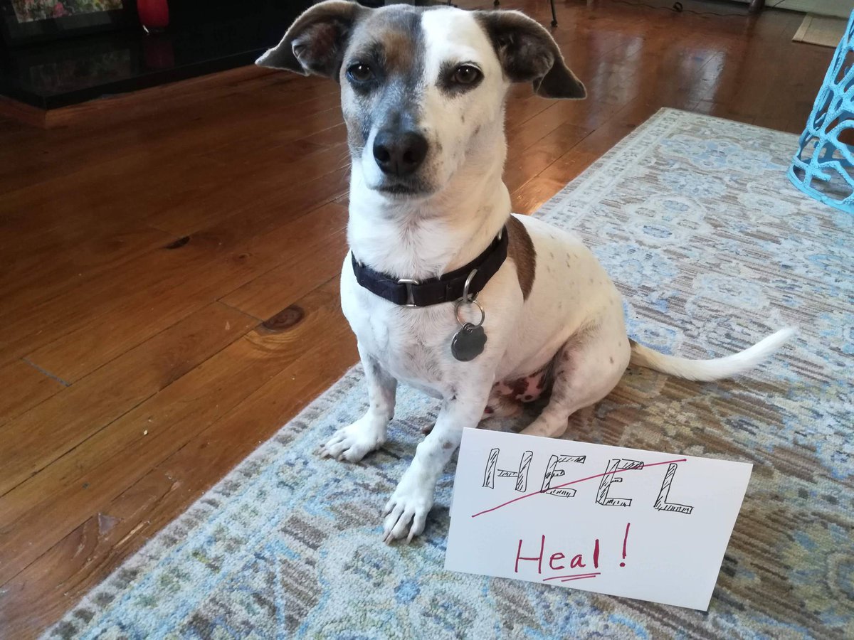 Seldon Ink tweet media