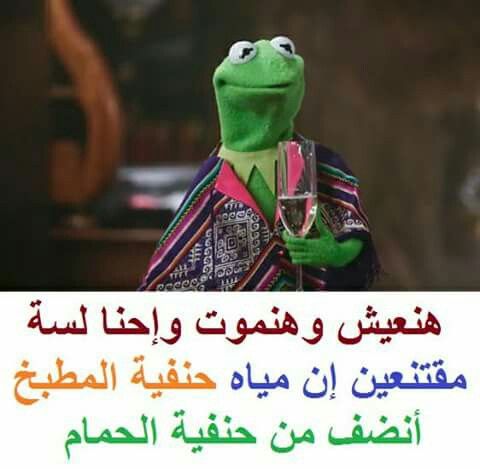 O101A's tweet photo. `
" وجود الرأس في الجسد حقيقة ثابتة, لكن وجود العقل داخل الرأس تلك مسألة فيها نقاش."

- سيغموند فرويد
#الاجواء_الحلوة 
#الهلال_النصر https://t.co/1ADeES4hX3
