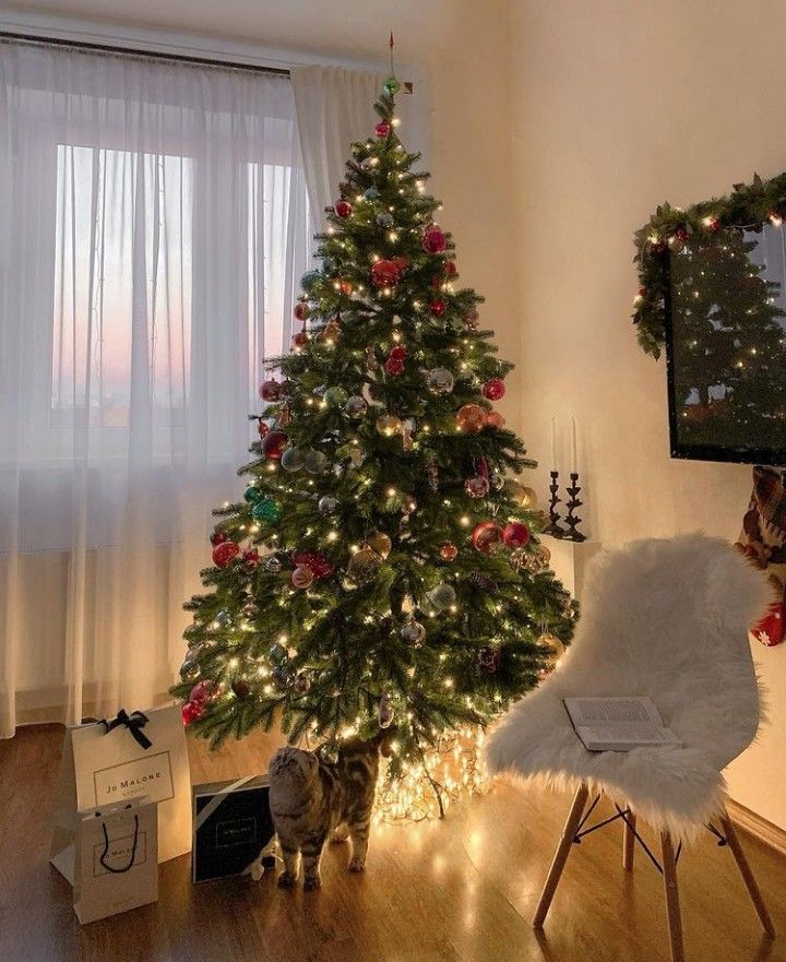 SmurfMuseum's tweet photo. ☆ 9.

last, merry christmas blues! quote this tweet by choose to SEEK ONLY with which place you think your parents is! don't forget the format answer! 💙

A                                           B https://t.co/ELIsptyzUk