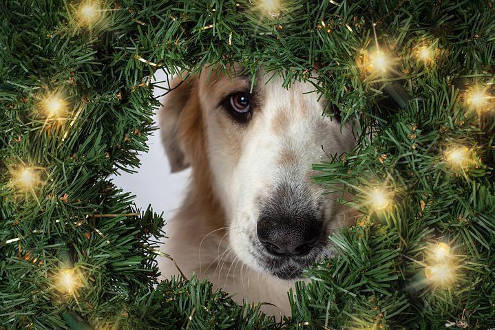 <a href="/SouthernCharm2a/">Bless Your Heart/LOCKED=BLOCKED</a> <a href="/JohnMatelic/">JohnMatelic</a> <a href="/WickedDog3/">Wicked Dog</a> <a href="/DeplorableToph1/">Deplo Didn't Kill Himself 🇺🇲 🦍✝️</a> <a href="/Fast_Hellcat/">Democrats Suck</a> <a href="/trump_one/">OneTrumpGirl</a> <a href="/J0hnnyD0llar/">Deplorable dogface pony soldier.</a> <a href="/limaistre/">DaLem 🇨🇵🇺🇸 It's not over until I win</a> <a href="/donaldherring11/">Donald Herring</a> <a href="/RealJamesRhodes/">🇺🇸🏳️‍🌈🦋🌷James Rhodes🌷🦋🏳️‍🌈🇺🇸</a> <a href="/MATTYDMT1/">MattydMT</a> <a href="/JimBurns525/">Jim Burns</a> @wolfhunter82 <a href="/OVRTGO/">WoodyWoodpeckerOtto</a> <a href="/SoaringAbove1/">Soaring Above</a> <a href="/aprilborba1/">no demorats here</a> <a href="/know314/">NowIKnow3:14 Pray4aBetterTomorrow Jeremiah 32:15</a> IFBAP <a href="/PiperQ45/">PiperQ</a>