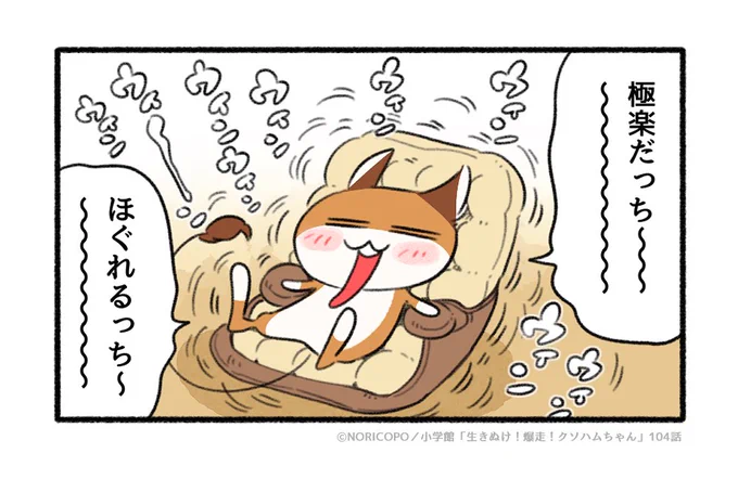 #生きぬけ爆走クソハムちゃん
マンガ104話でちゅ!読むでちゅ?
https://t.co/WQ0ESPzVls #ハムピョン 