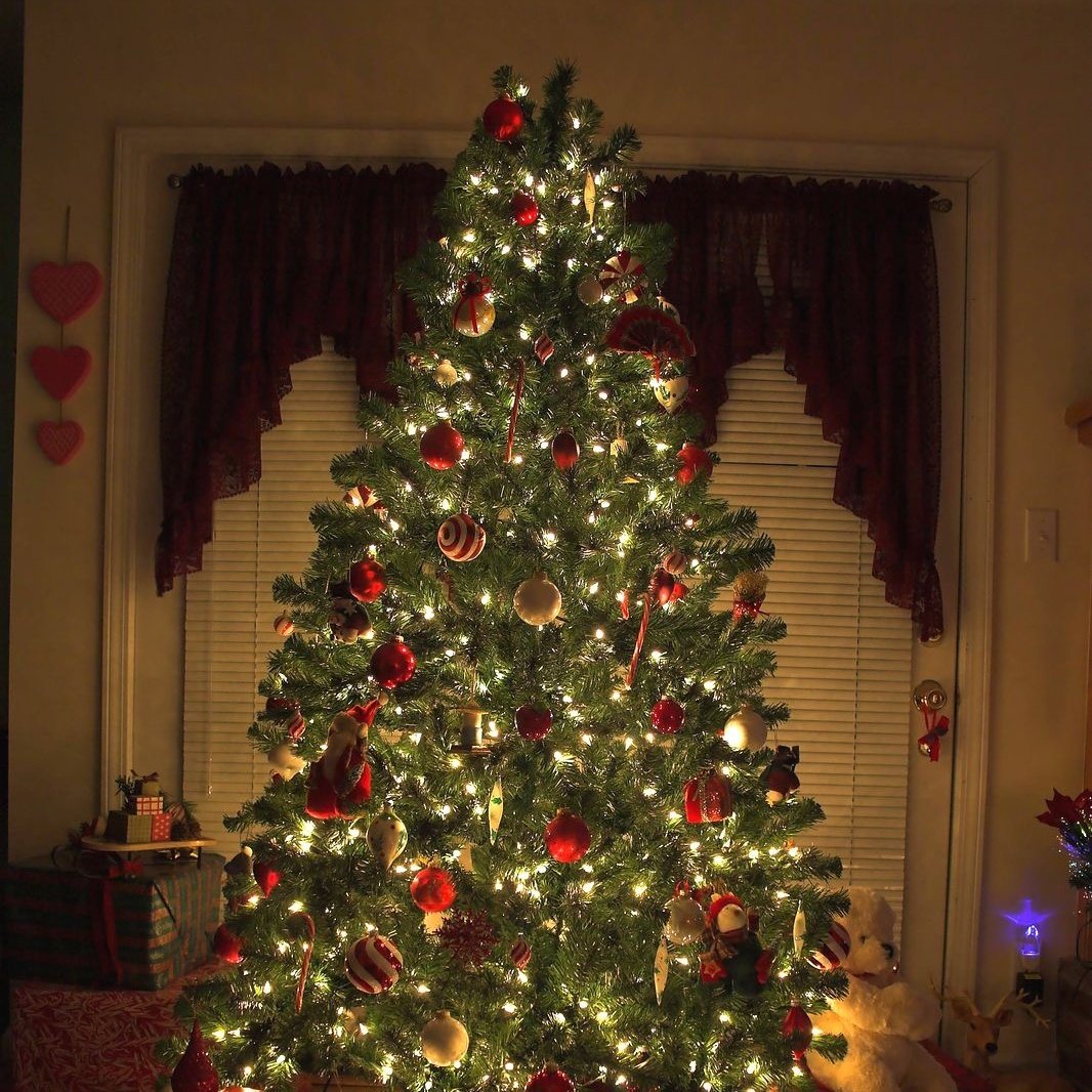 ᅠ𓄿ᅠ𝐒𝐀𝐌 𝐖𝐈𝐋𝐒𝐎𝐍 ᅠᅠᅠᅠ𒐏⭑𝑭𝑨͟𝑳͟𝑪͟𝑶͟𝑵. tweet media