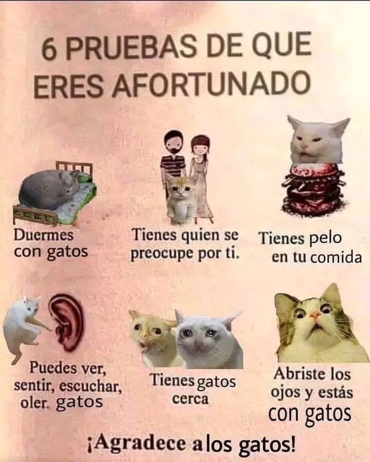 norelenita's tweet photo. Good Morning! https://t.co/5dISkaxMAK