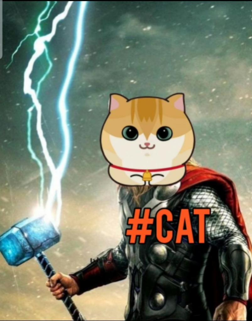 CatToken_Global's tweet photo. BREAKING NEWS:
🔥🔥🔥🔥🔥🔥🔥
#Cat $Cat will Top 100 #Cryptocurrencies in 2023
#CatArmy #Btc #BNB #ETH #SHIB #DOGE https://t.co/KtAjWTAeWN