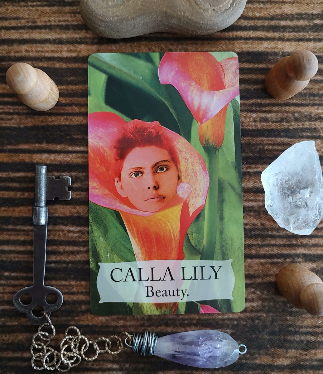 FairySurreal's tweet image. Congratulations! You've reached an important goal. Enjoy your success. Allow the feelings of confidence and self—assurance to wash through you.  #tarot  #dailyspread #floriography #botanicaloracle #floraloracle #floweroracle #gladiolus #oracle #oraclecards buff.ly/3V6LOpM
