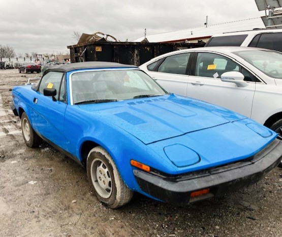 PullAPartAuto's tweet photo. Cool 1980 Triumph for sale at our Nashville store. #pullapart #junkyard #triumph #1980triumph #coolcar #car https://t.co/RAiFHPipPo