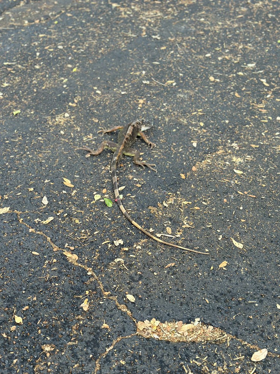 Its Winter in Florida when: