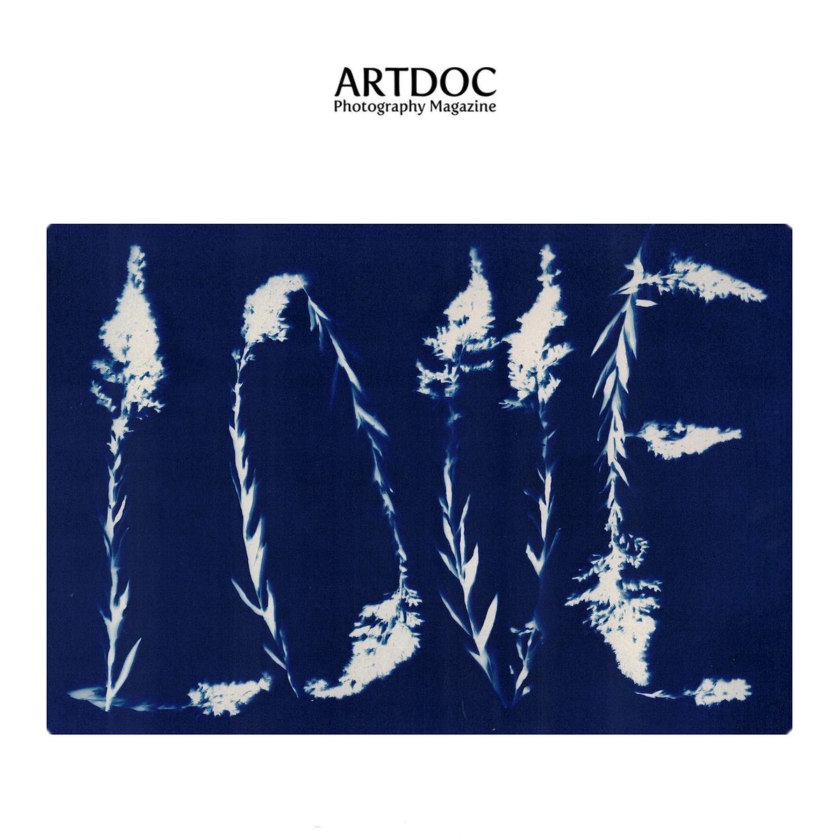 Thank you ARTDOC Photography Magazine @artdocmagazine for including two of my Blue Notes cyanotypes in the Alternative Process Exhibition. Congratulations to all the artists!