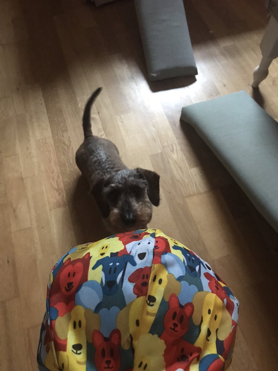 Merry Christmas my darlings. I hope you’ve all sang lots, caused havoc by unwrapping other peoples gifts and maybe left your own gift by the tree. Thank you to my Sausage Army Secret Santa who sent me this epic balloon ball toy. I love it and have been chasing it relentlessly 👊