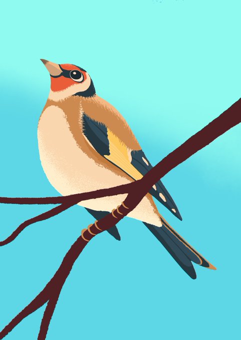 「beak branch」 illustration images(Latest)