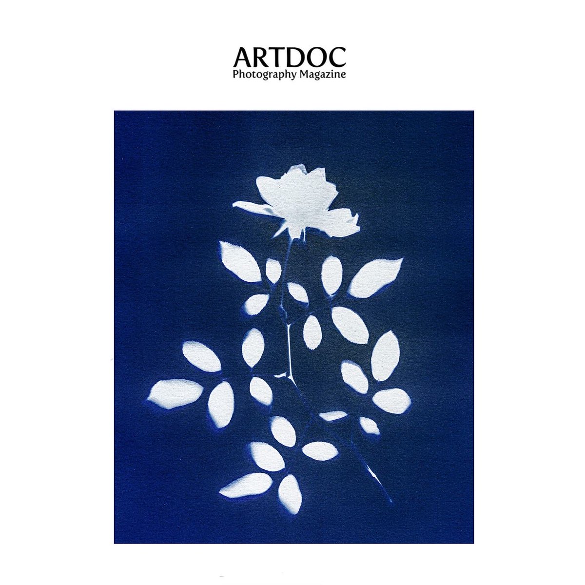 Thank you ARTDOC Photography Magazine @artdocmagazine for including two of my Blue Notes cyanotypes in the Alternative Process Exhibition. Congratulations to all the artists!