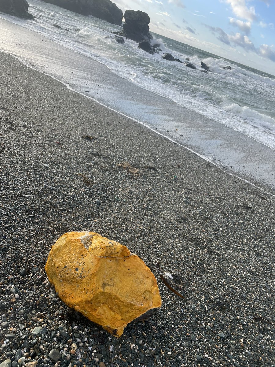 Chicken_7's tweet photo. No idea what this is washed up on Porth-y-post beach this morning.. but the dog ran straight to it and rubbed herself on it leaving her bright orange! Dog walkers beware! #Anglesey @AngleseyScMedia @AngBirdNews @VisitAnglesey @sascampaigns https://t.co/kQ0qhCO7I9