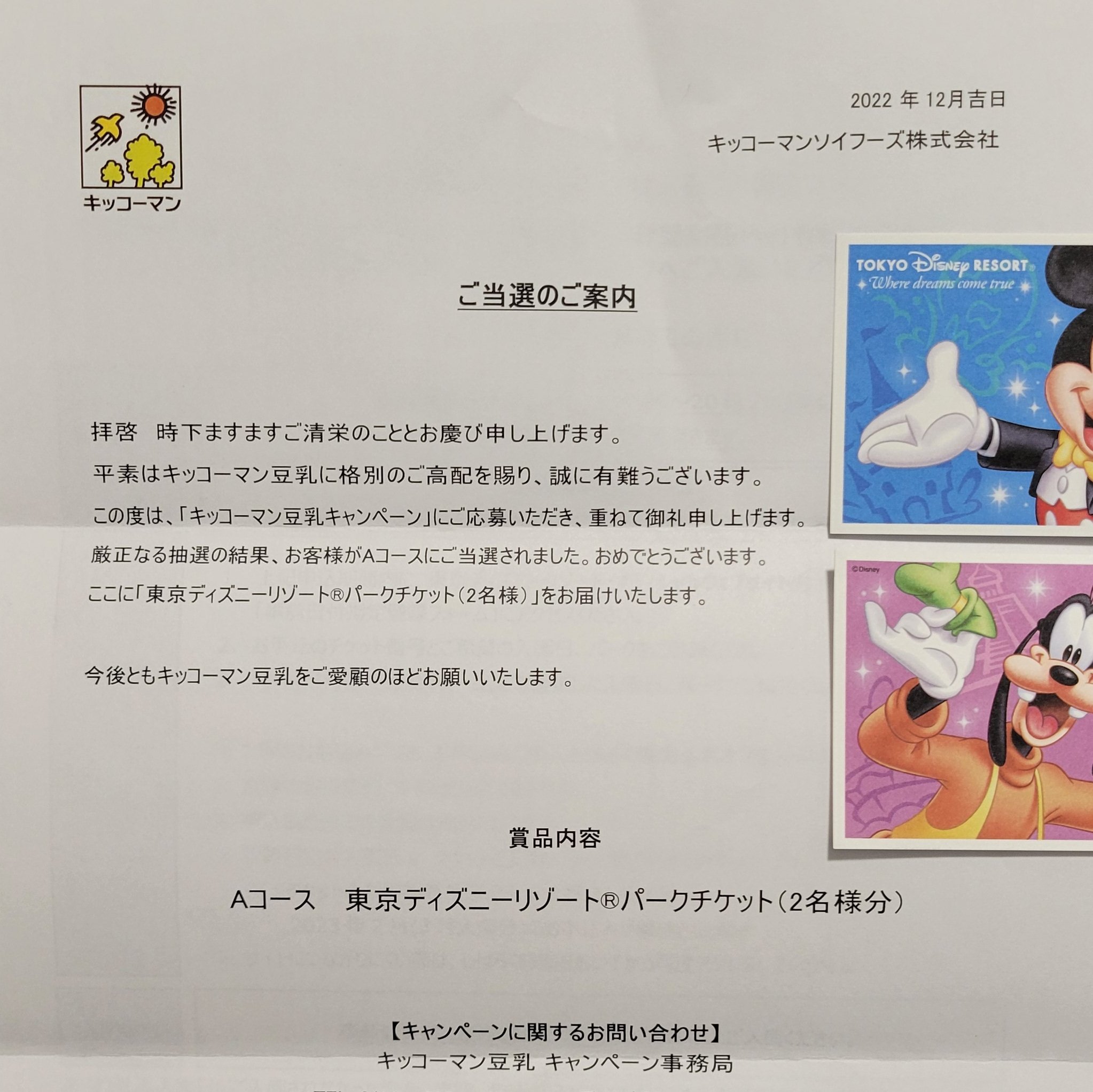 みみっきゅ Mimiq 339 Twitter