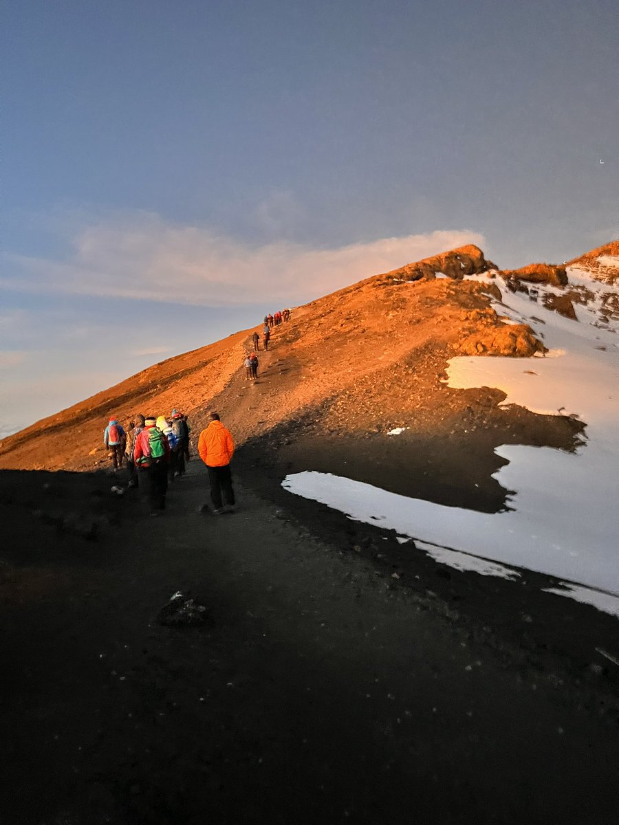 Talia Goldberg tweet media