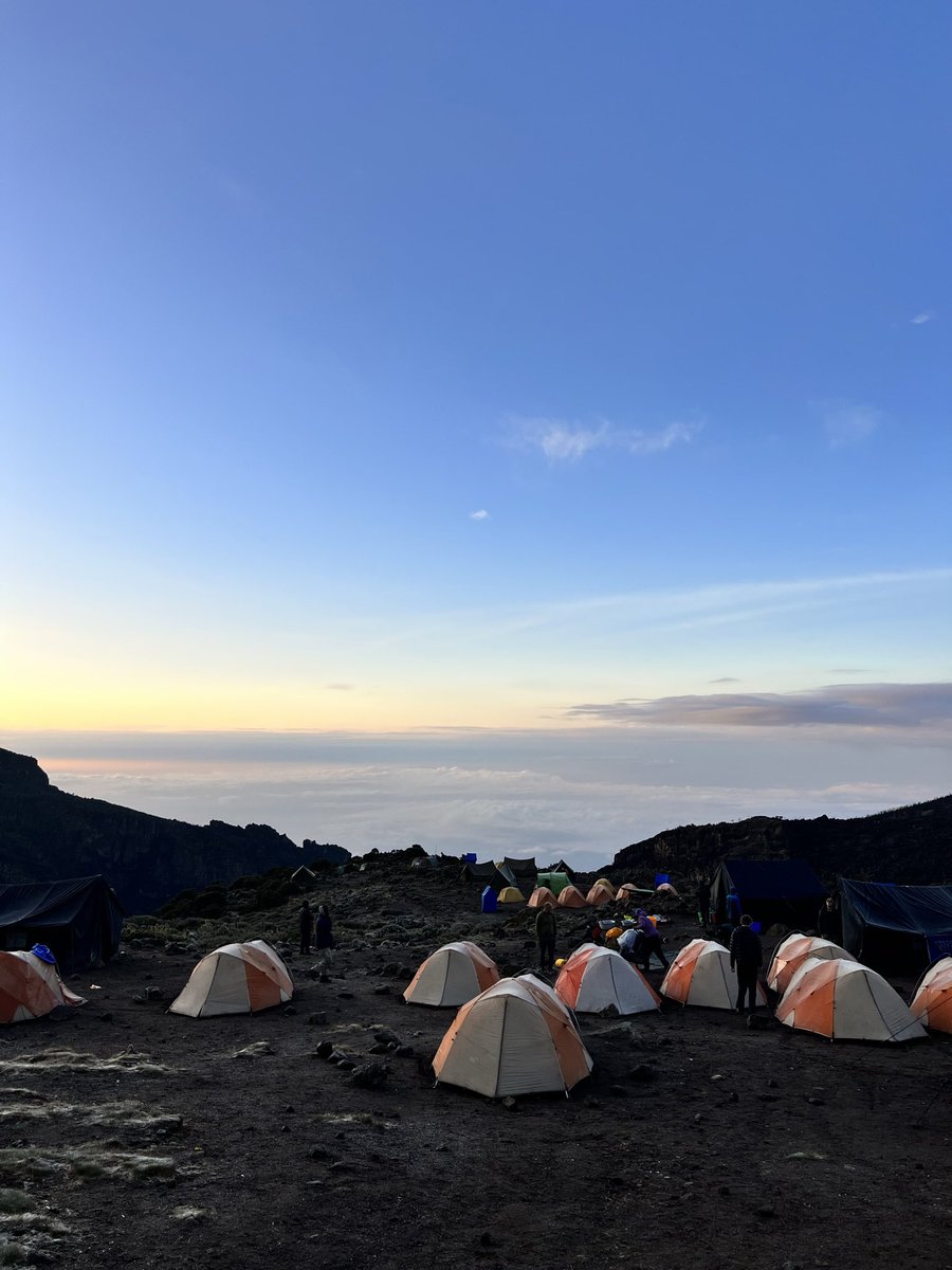 Talia Goldberg tweet media