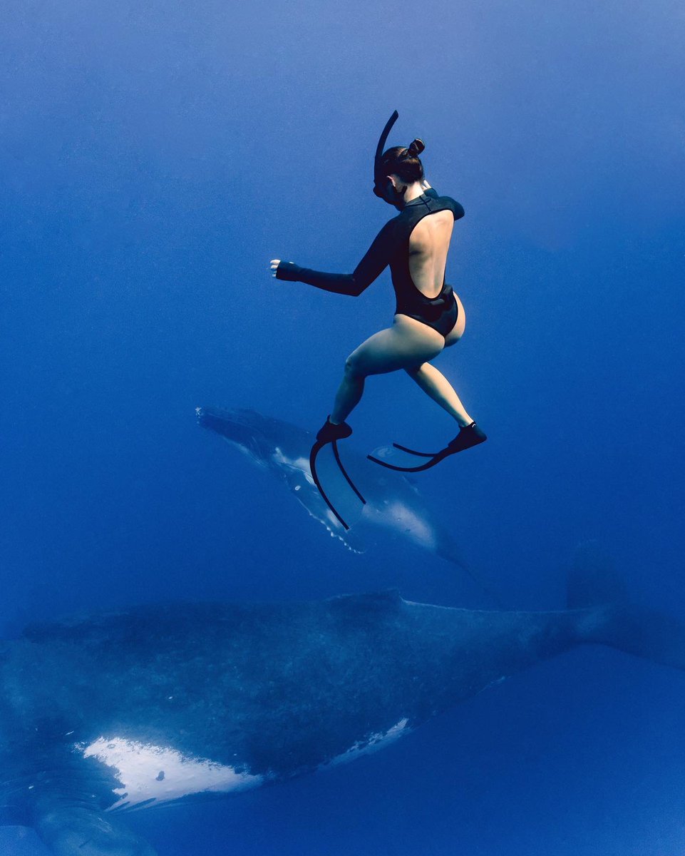 megbatphoto on Twitter "This year was pretty wild. Got to cross a lot