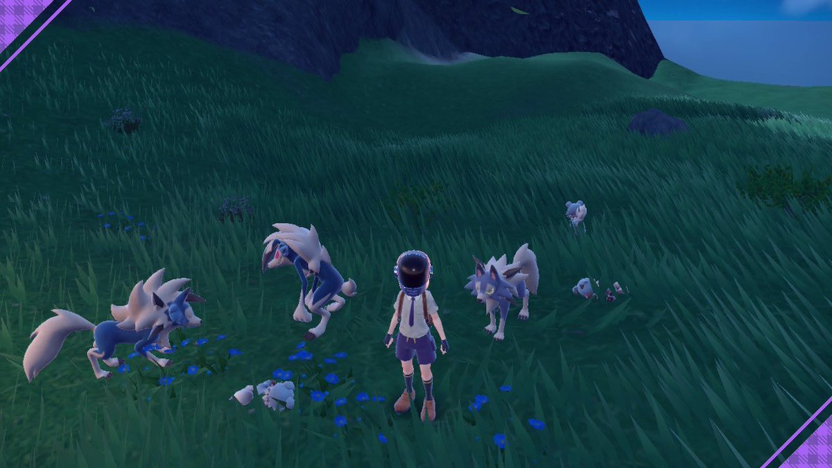 jerrymandap's tweet photo. Shiny Rockruff fam finally complete! 🫶🏻#PokemonViolet https://t.co/cpj4WGxDfa