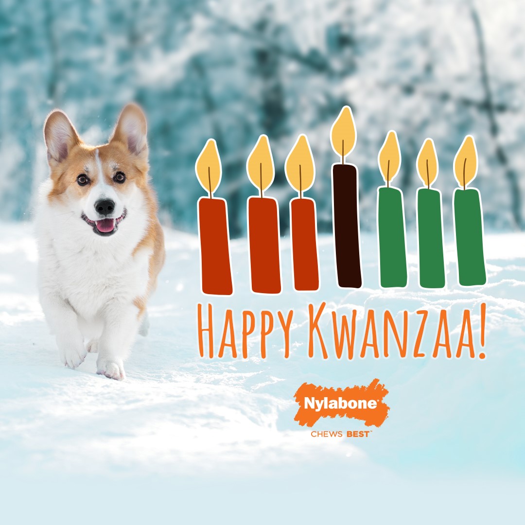 nylabone's tweet photo. We hope you and your dog's holiday is filled with health and joy!

#kwanzaa #kwanzaa2022 #festivedog #holidaydog https://t.co/62BHQnK6AB