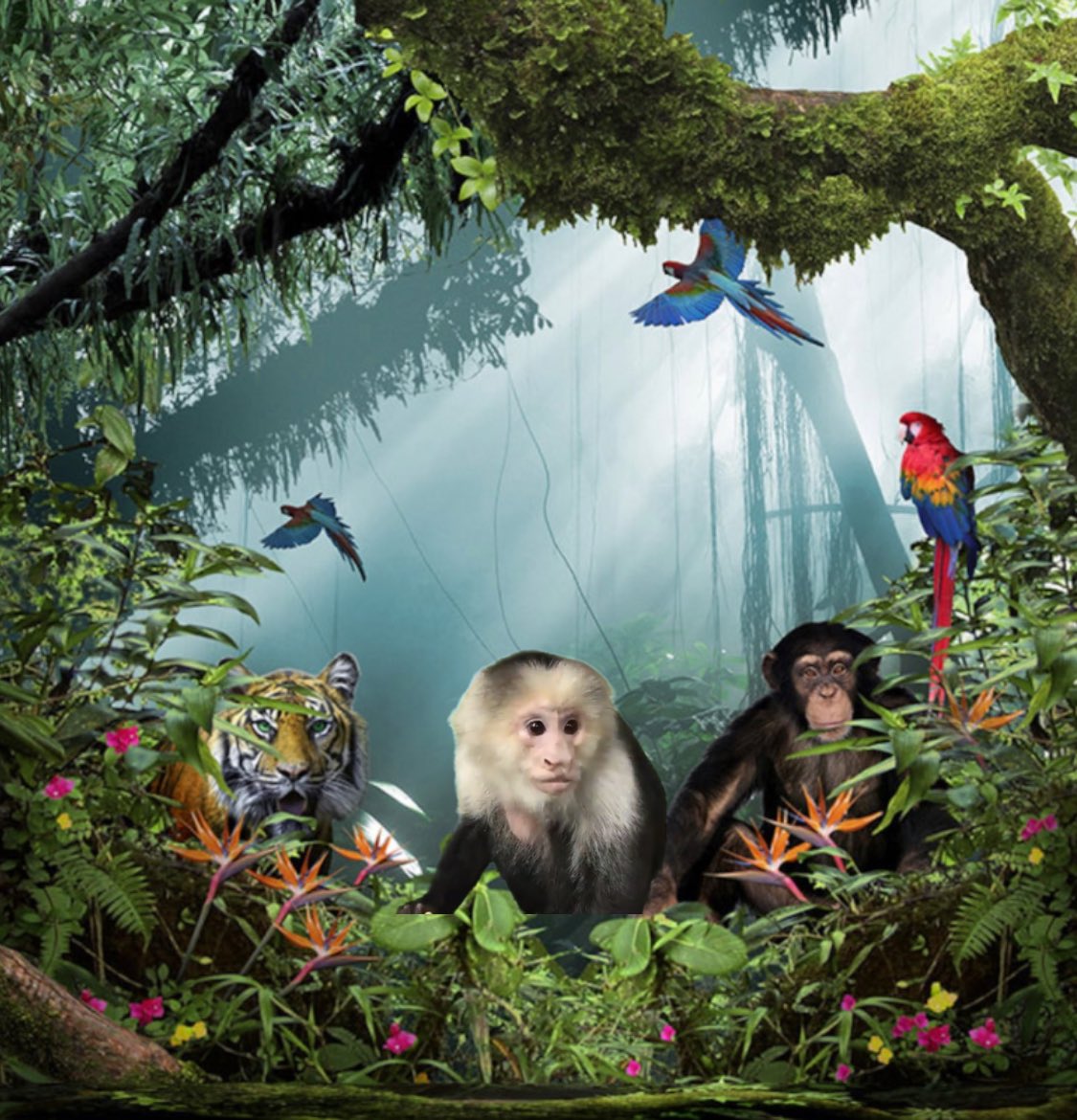 PocketsWarhol's tweet photo. I had a beautiful dream last night that we were all living in peace ๐ณ๐โค๏ธ๐ #BeKinToAnimals #AfterLife #storybookmonkeys https://t.co/50RF7lb7Et